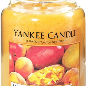 Yankee Candle Mango Peach Salsa Large Jar Retail