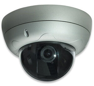 Intellinet PRO SERIES NETWORK HIGH RES Dome