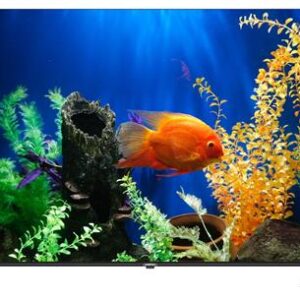 Sinotec 50 inch G1U Series UHD LED Backlit Google