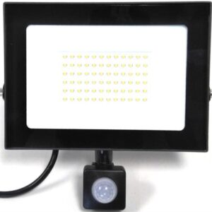 Noble Pays 50w 4000 Lumens LED Floodlight With